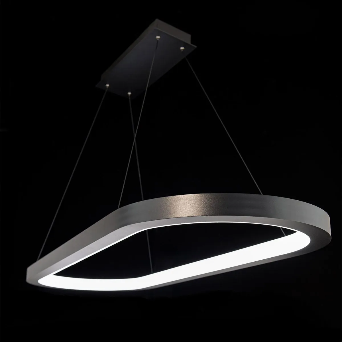 Racetrack 46 in. LED Pendant Light 3500K Black Finish